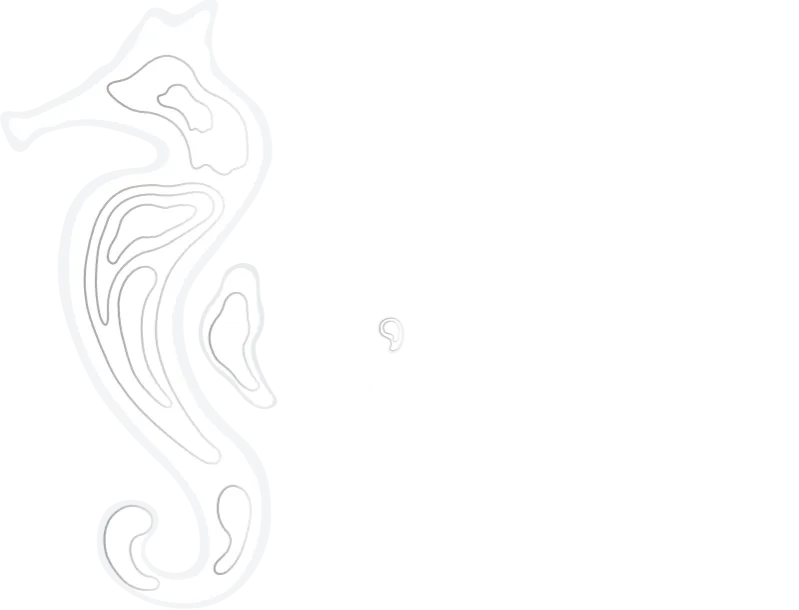 Resort Praia D'El Rey